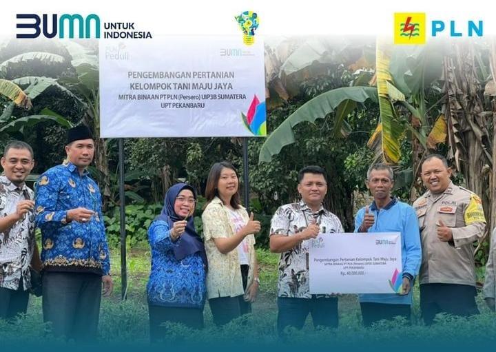 Lewat Program TJSL, PLN Bantu Kembangkan Pertanian Kelompok Tani Maju Jaya di Kepulauan Riau