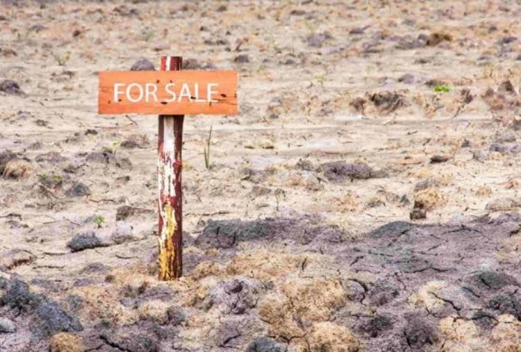 Jual Aset Lahan Sumur Minyak, Pemkab Kepulauan Meranti Dapat Cuan Rp 50 Miliar