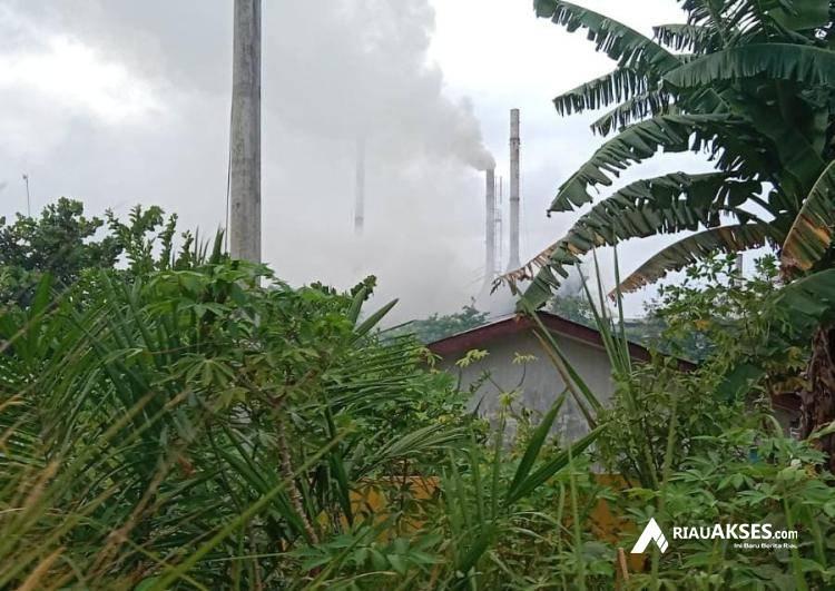 Abu Pabrik PT Pujud Karya Sawit di Rokan Hilir Cemari Rumah Warga: Kesehatan Kami Terancam!