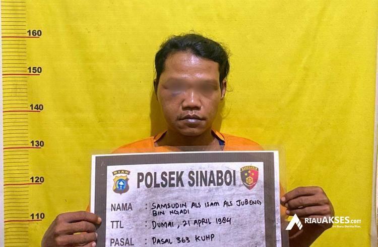 Aksi Pencurian di Rohil Ketahuan Gara-gara Gadaikan HP, Pelaku Positif Pakai Narkoba