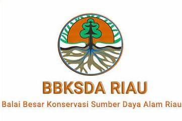 Respon Singkat Kepala BBKSDA Riau Usai Dihukum PTUN Bersihkan SM Balairaja dari Kebun dan Pabrik Kelapa Sawit serta Fasilitas Migas Pertamina