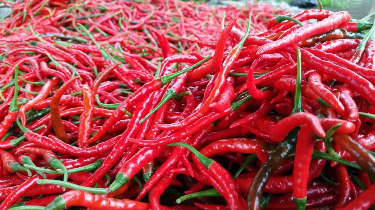 Tim Satgas Pangan Pekanbaru Antisipasi Kenaikan Harga Cabai Merah