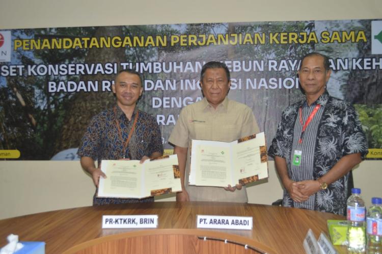 BRIN dan PT Arara Abadi Teken Kerja Sama Riset Pengembangan Kayu Eukaliptus
