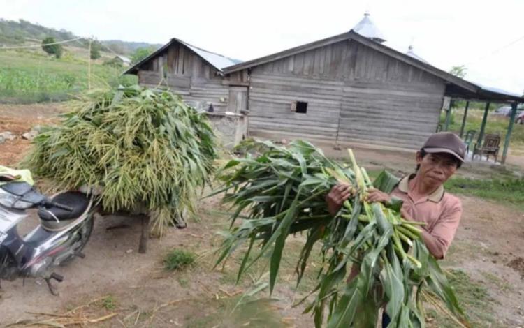 Gubernur Syamsuar Ingin Nihilkan Desa Tertinggal di Riau, Bagaimana di Kepulauan Meranti?