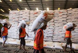 Wah! Akhirnya Negara Impor Beras 200 Ribu Ton, Rawan Pangan?