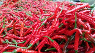 Tim Satgas Pangan Pekanbaru Antisipasi Kenaikan Harga Cabai Merah