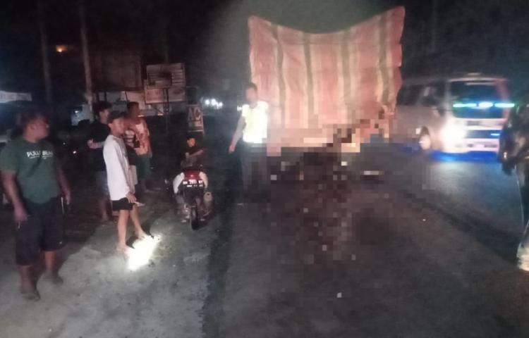 Begini Kronologi Pengendara Motor di Rohil Tewas Tabrak Truk Tronton yang Parkir di Badan Jalan