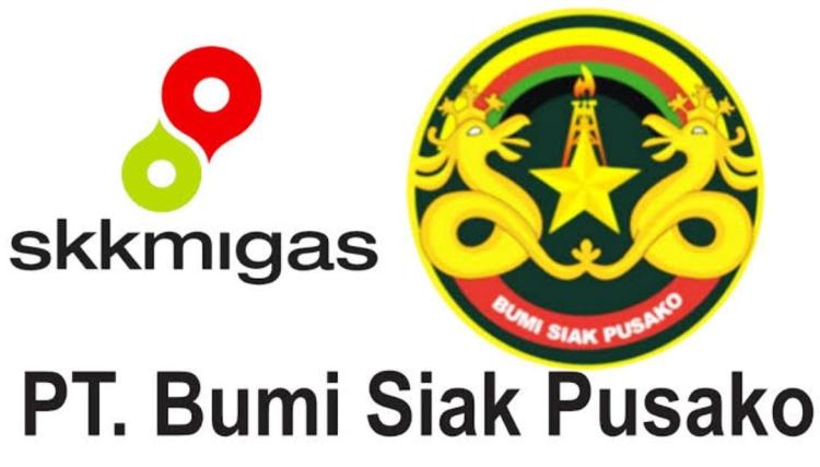 PT BSP Bungkam 66 Sumur Minyak di Taman Nasional Zamrud Diperintahkan PTUN Pekanbaru Disegel dan Diproses Hukum Buntut Gugatan Yayasan Wasinus