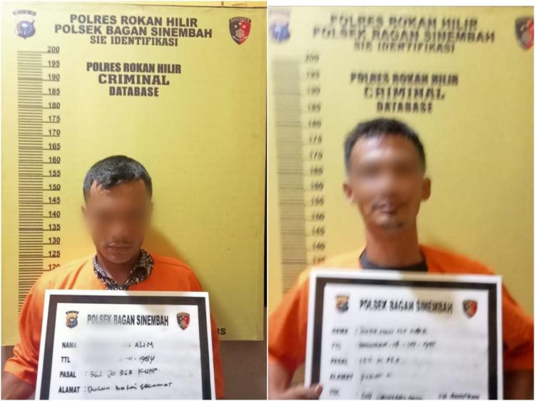 Dua Warga Rohil Nekat Curi Sapi di Siang Bolong, Diangkut Pakai Pikap