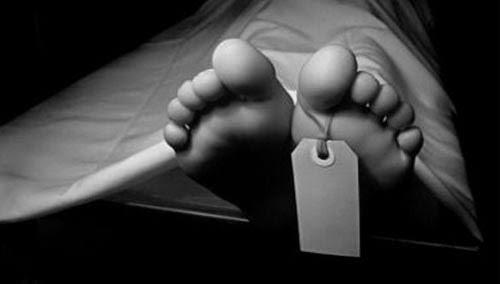 Pekerja Panen Buah Sawit PT Gandaerah Hendana di Indragiri Hulu Tewas Terkena Egrek yang Dibawanya