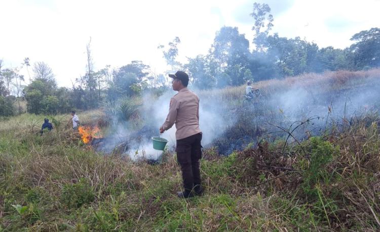 Lahan 1 Hektar Dilalap Api di Kuansing, Polisi Menduga Sengaja Dibakar