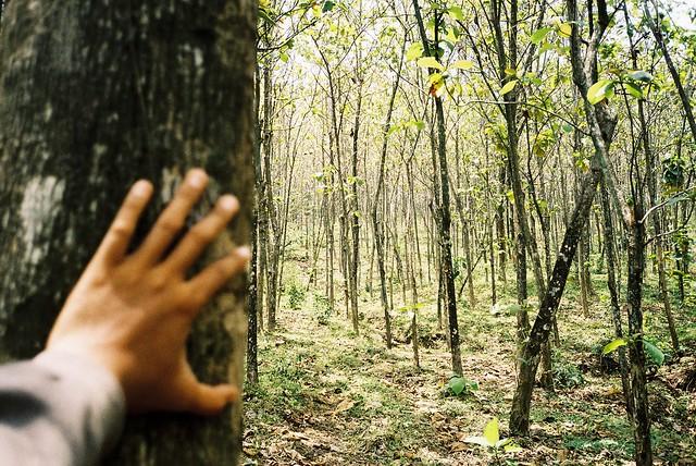 14 Anggota Komunitas Motor Tersesar di Hutan Sumbar, Satu Orang Dikabarkan Tewas