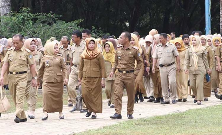 Lebih Banyak Lowongan, Pendaftaran CPNS 2023 Dibuka Juni Mendatang