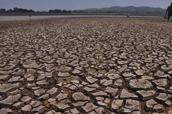 Riau Diprediksi Alami Dua Kali Musim Kemarau