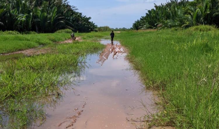 Keluhkan Jalan Provinsi di Rohil Rusak Tak Kunjung Diperbaiki, DPRD Sebut PUPR Buang Badan