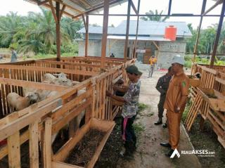 Pulihkan Ekonomi Pasca Pandemi, Desa di Rohil Gelontorkan Dana Desa untuk Program Ketahanan Pangan