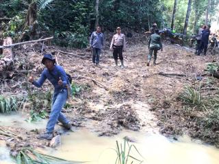 Polisi Temukan Indikasi Aktivitas Ilegal Logging di Kuansing, Hasilnya Akan Dikirim ke Sumbar