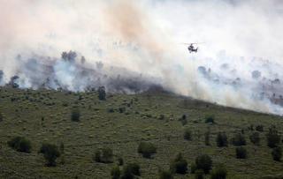 BPBD Riau Sebut 2023 Lebih Berpotensi Terjadi Karhutla, Kenapa?