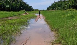 Keluhkan Jalan Provinsi di Rohil Rusak Tak Kunjung Diperbaiki, DPRD Sebut PUPR Buang Badan