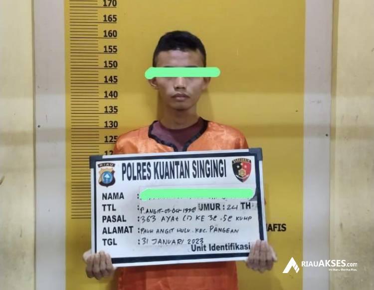 Curi Uang Rp 56 Juta, Karyawan Alfamart di Kuansing Diringkus Polisi