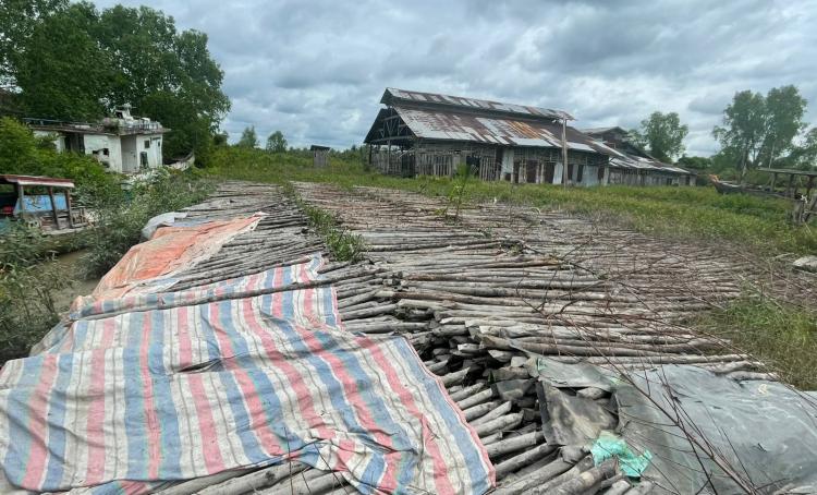 Tampung Kayu Bakau Ilegal dari Cagar Alam Pulau Barkey, Pria di Rohil Ditangkap Polisi