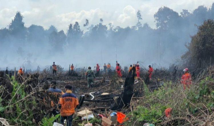 Desa Rawan Karhutla 2023 di Riau Disebut Berkurang, dari 300 Jadi 159