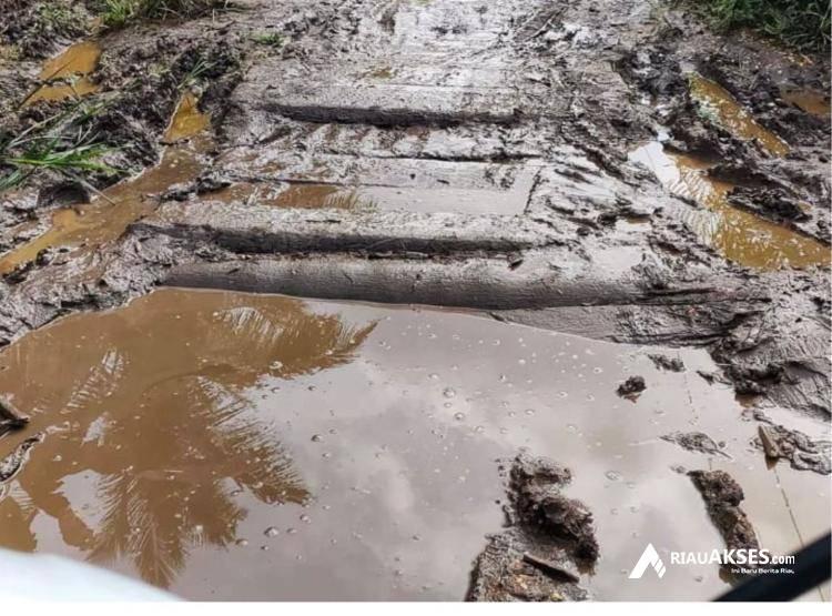 Jadi Akses Utama 3 Desa, Kondisi Jalan di Inhil Rusak Parah Sampai Berlumpur