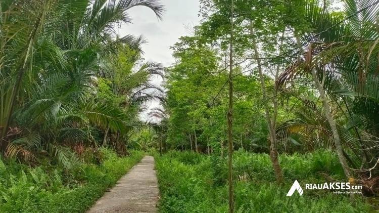 20 KK di Desa Bokor, Rangsang Barat Hingga Kini Belum Teraliri Listrik