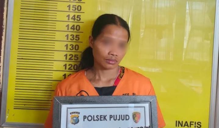 Bantu Suami Jual Sabu, IRT di Rohil Ditangkap Polisi