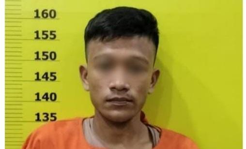 Curi Ponsel, Pemuda Pengangguran di Rohil Ditangkap Polisi