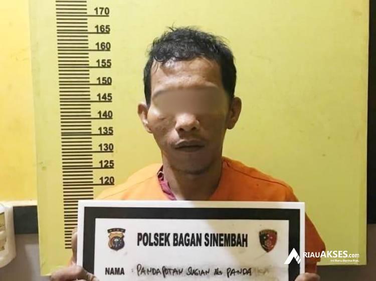 Jual Sabu di Kamar Hotel Anggrek, Pria di Rohil Ditangkap Polisi