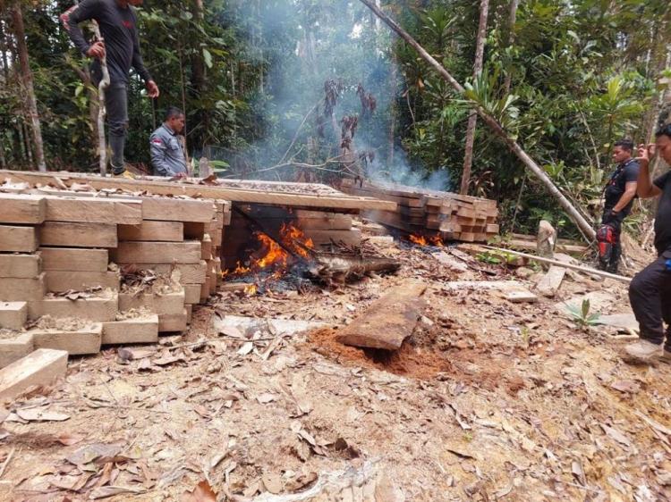 Tim Gabungan Temukan Pondok dan Kayu Pembalakan Liar di Bukit Tabandang Kuansing