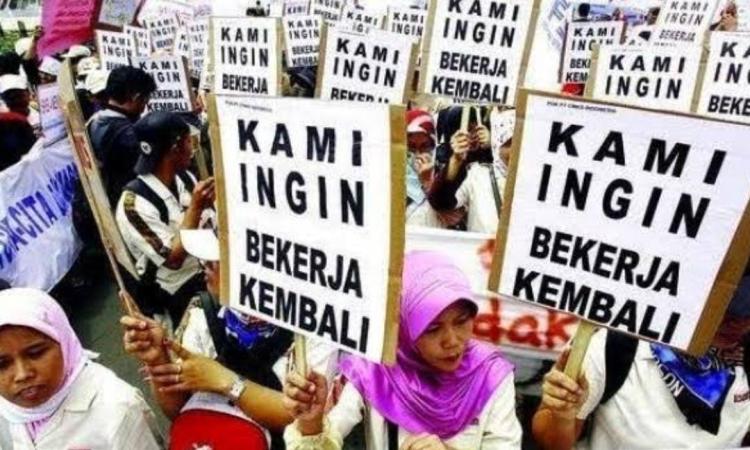 Pengangguran Capai 36.513 Orang, Pekanbaru Gagal Jadi Kota Investasi yang Pro Rakyat