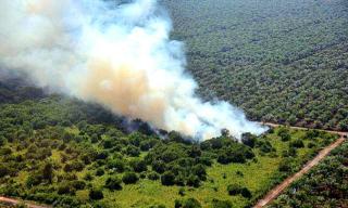 Waspada! Tiga Daerah di Riau Ini Rawan Karhutla Musim Kemarau 2023