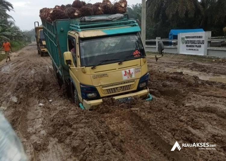 Warga di Rokan Hilir Keluhkan Truk Pengangkut Sawit Sering Lalu-lalang Sebabkan Jalan Rusak Parah