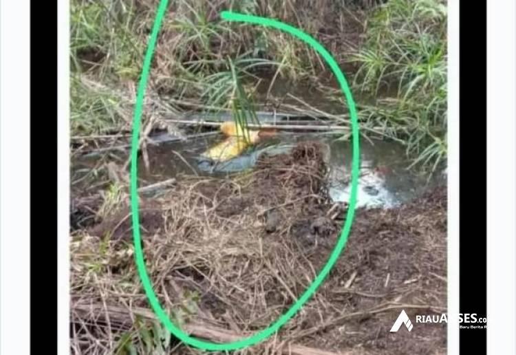 Menghilang 12 Hari, Warga di Rohil Ditemukan Sudah Jadi Mayat