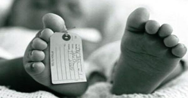 Bayi 6 Bulan Meninggal Usai Suntik Vaksin di Puskesmas Umban Sari Dipastikan Bukan Karena Vaksinasi Polio