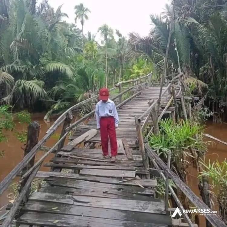 Jadi Akses Jalan Utama, Jembatan di Inhil Kondisinya Memprihatinkan