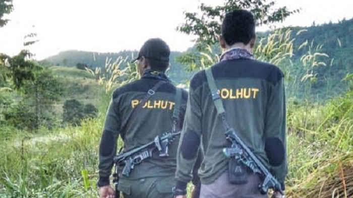 4 Juta Hektar Hutan di Riau Hanya Diawasi 96 Polhut, DLHK Minta Tambahan Personil