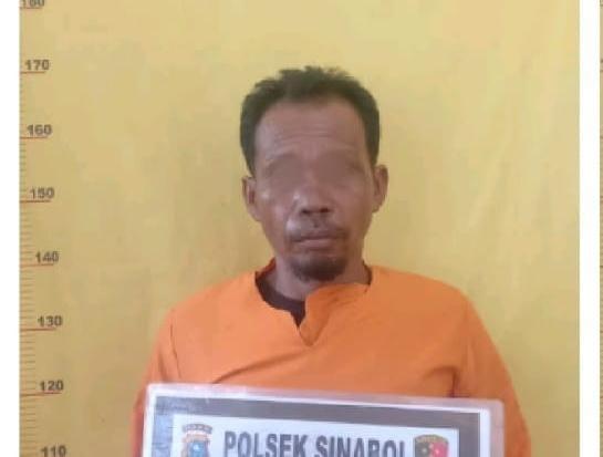 Bakar Lahan untuk Ditanami Keladi, Warga Rohil Ditangkap Polisi 