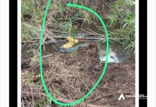 Menghilang 12 Hari, Warga di Rohil Ditemukan Sudah Jadi Mayat