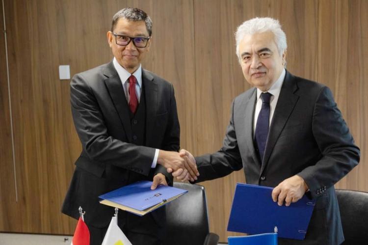 Matangkan Skema JETP, PLN Gandeng IEA Jalankan Roadmap Transisi Energi