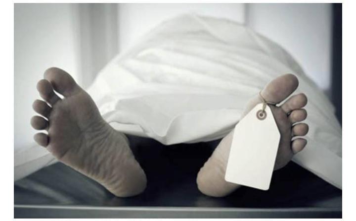 Tragis! Kakek Penggembala Kambing Tewas Tertimpa Kelapa Sawit di Kampar