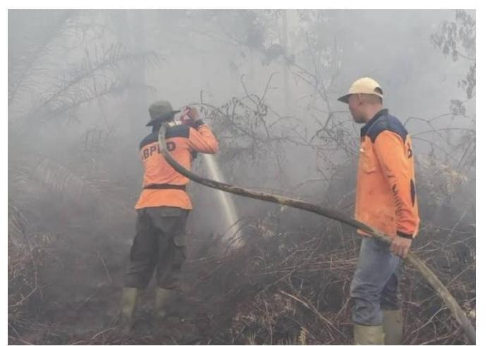 DPRD Riau Sebut Pemerintah Gagal Cegah Kebakaran Lahan: Uangnya Jangan Untuk Pemadaman, Tapi Pencegahan!