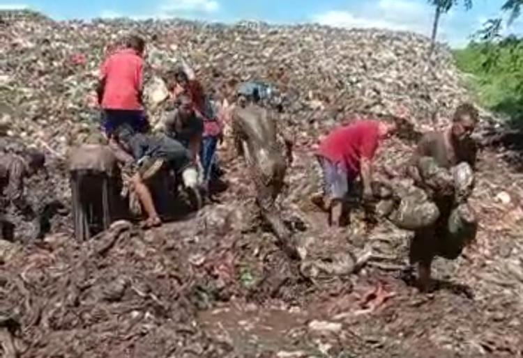 Warga Bengkalis Rebutan Mengais Daging di Tempat Pembuangan Sampah: Kekayaan Bengkalis Cuma Dinikmati Segelintir Elit Politik!