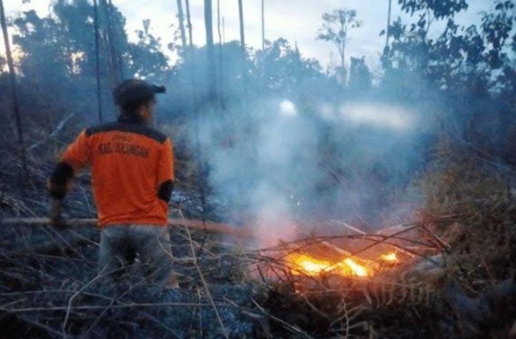 Petani di Rokan Hilir Ditangkap Polisi Gara-gara Bakar Lahan