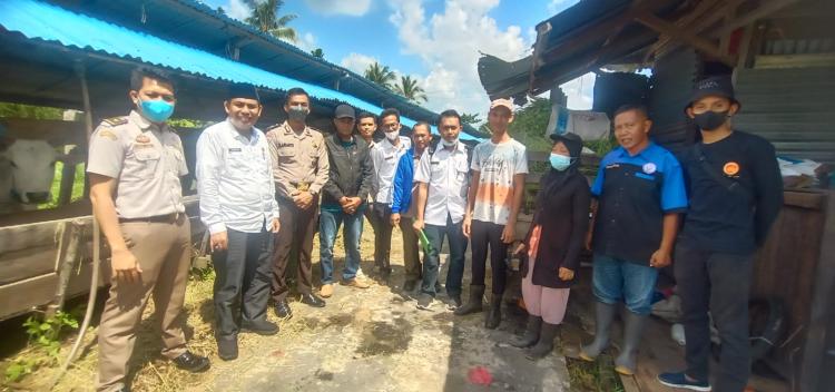 Kebutuhan Hewan Kurban Naik 30 Persen, Stok Lokal Ternak di Kepulauan Meranti Cukup Tersedia
