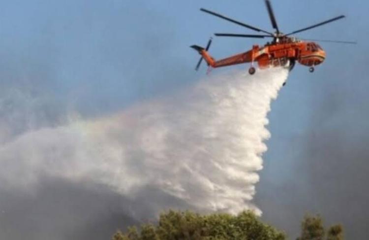 Lahan di Rantau Bais dan Ujung Tanjung Terbakar, BPBD Rohil Belum Ketahui Pemilik Kebun Sawit