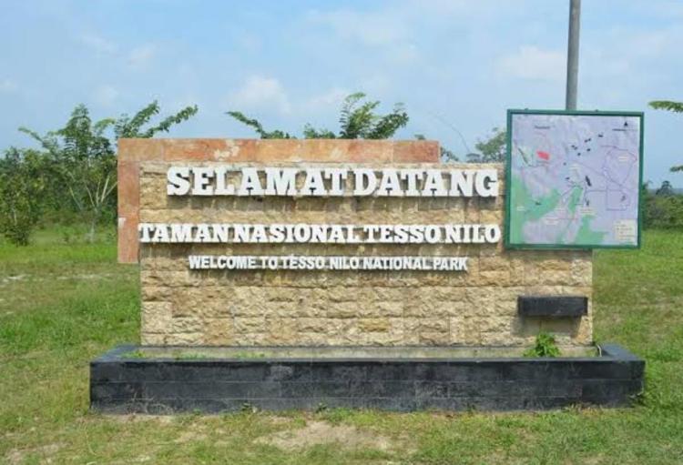 Setelah Cagar Biosfer Giam Siak Kecil, Kini Kebakaran Melanda Taman Nasional Tesso Nilo