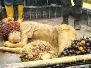 Pencuri Sawit PT Kencana Andalan Nusantara di Rokan Hilir Dihajar Massa Sampai Berlumuran Lumpur